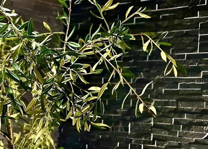 Veneziana Boutique Superior 3* קופר