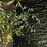 Veneziana Boutique Superior 3* Koper