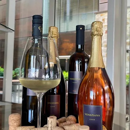 Ξενοδοχείο Veneziana Boutique Superior 3*