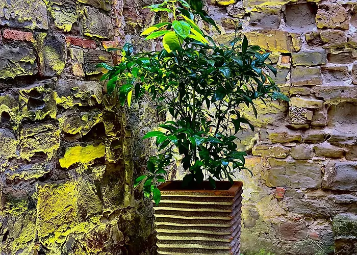 Veneziana Boutique Superior 3*